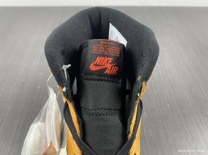 High Gore-Tex Light 1 Jordan Element Curry DB2889-700 0629